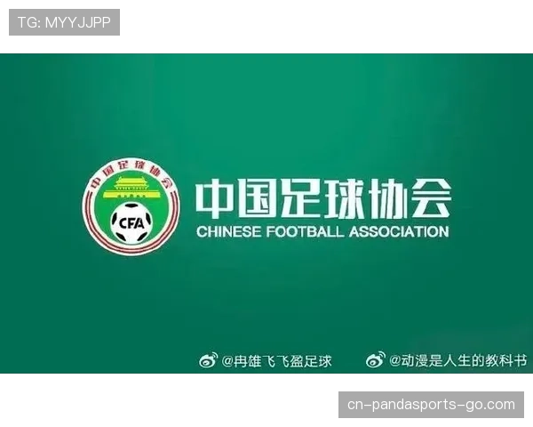 恶意犯规是什么意思？判罚标准与实战解析