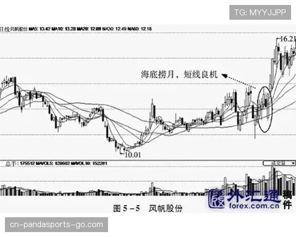 萨卡为何高开低走？成长轨迹中的稳定性断点解析